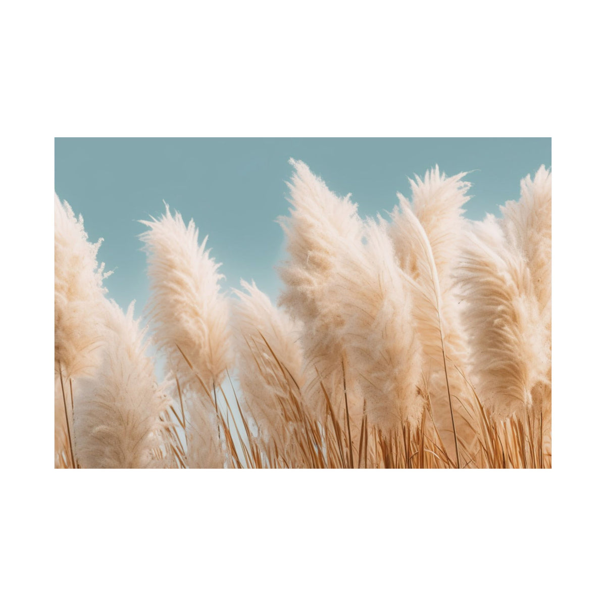 Pampas Grass Poster